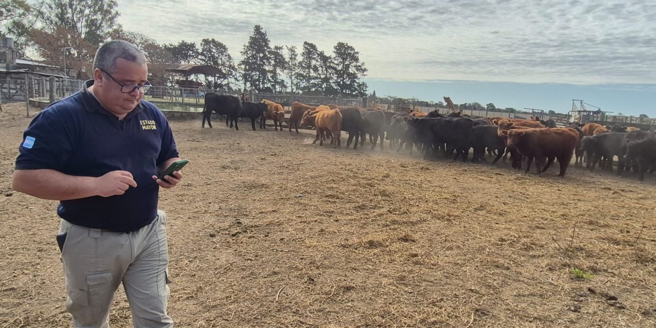 Allanamientos, detenciones y secuestro de animales robados en un importante caso de abigeato